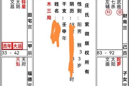 紫薇斗数命宫坐死地