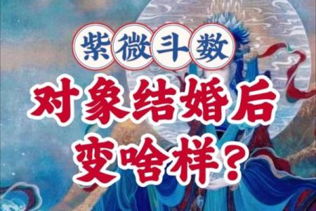 紫薇斗数变景