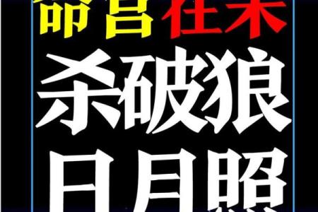紫薇斗数求解盘