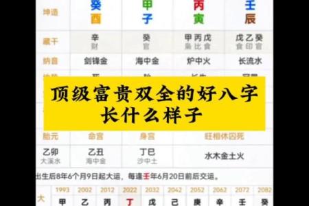什么八字的人个子高 八字高个人