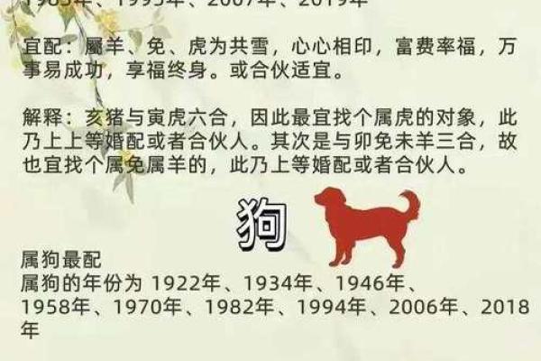 1982年属什么生肖配对最好 1982年属什么生肖的最佳配偶
