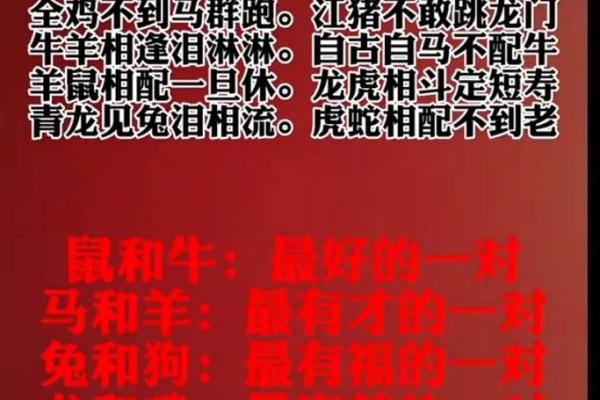 生肖配对表,羊和牛适合在一起吗