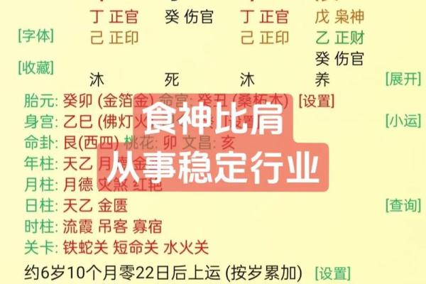 八字-食神总论