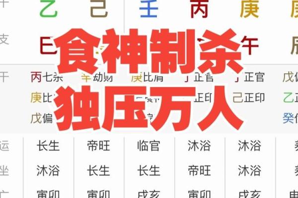 八字-食神总论