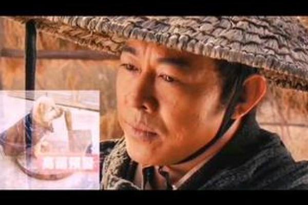 李连杰紫微斗数 李连杰 紫微？