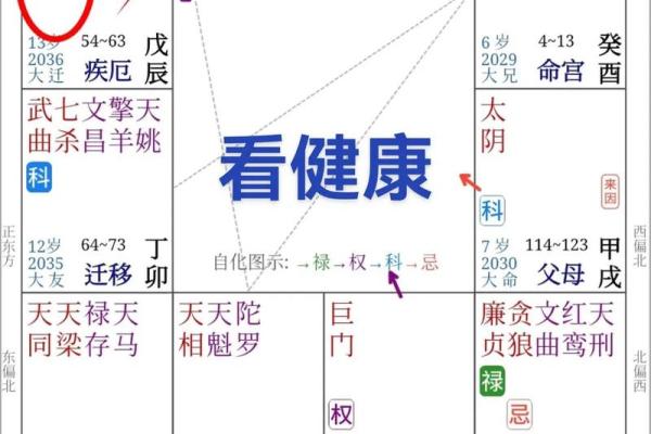 紫薇天相坐疾厄宫