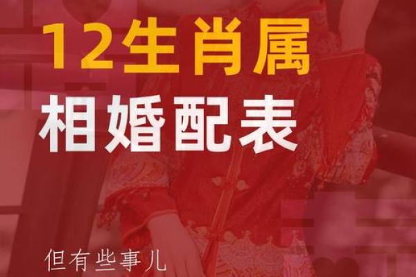 生肖配对看属狗属猴的婚姻怎么样