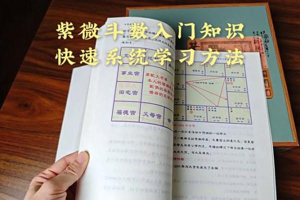 如何正确的学习和入门紫微斗数