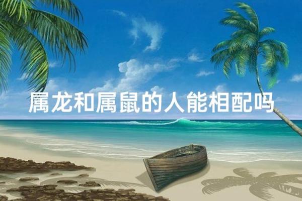 属龙和属鼠的八字合吗
