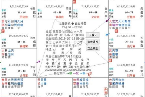 梅花占卜和紫薇斗数的区别