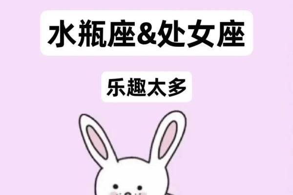 属猪和处女座女配对如何