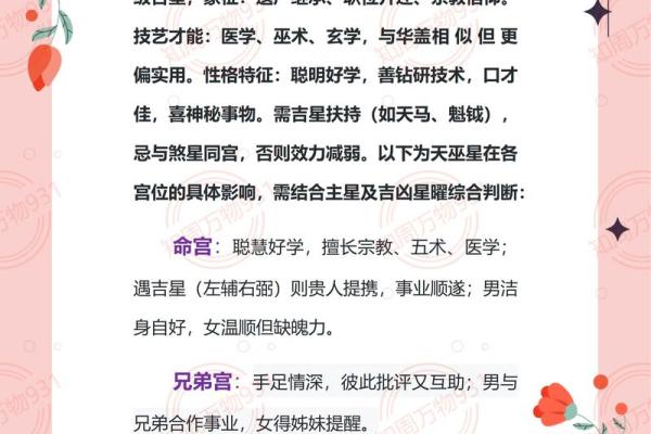 紫微斗数地劫星之十二宫释义