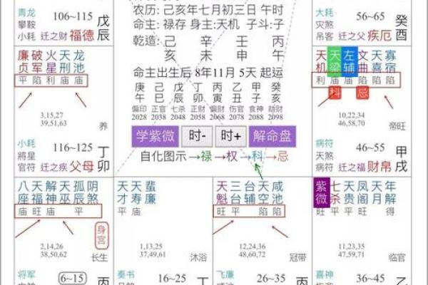 紫微斗数地劫星之十二宫释义