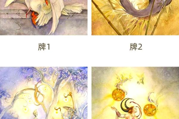 塔罗测试：未来五年运势