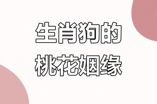 狗的属相配对婚配表