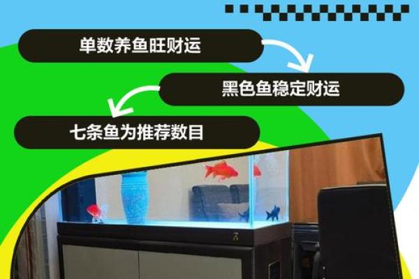 鱼缸的风水_送人鱼缸有什么说法