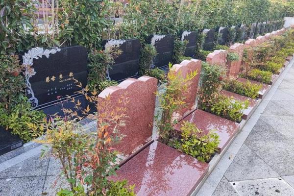 风水学视频_你们家那边的丧事习俗是怎么样