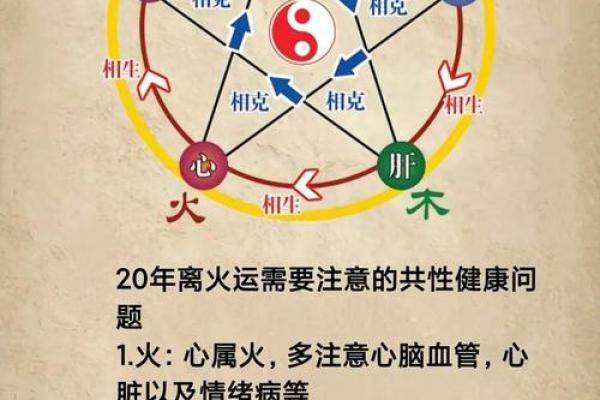 火命的适合往什么方位发展 火命的体质特征介绍