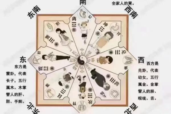 女性办公桌朝向的最佳方位在何处是东北向吗？