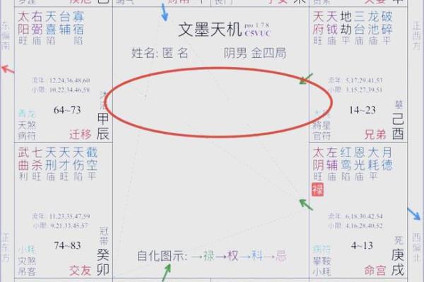 紫薇斗数查身主星
