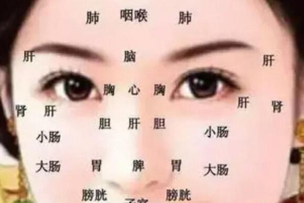 为什么算命的人说不能碰眉毛代表什么含义
