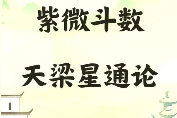紫薇斗数好学吗