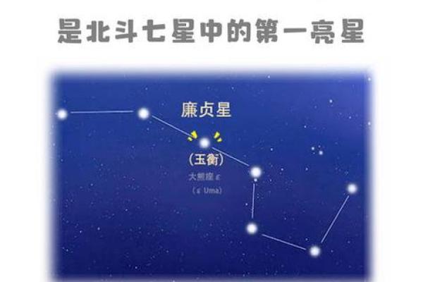 紫微斗数盘里紫薇