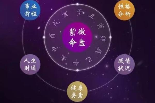紫薇斗数地盘
