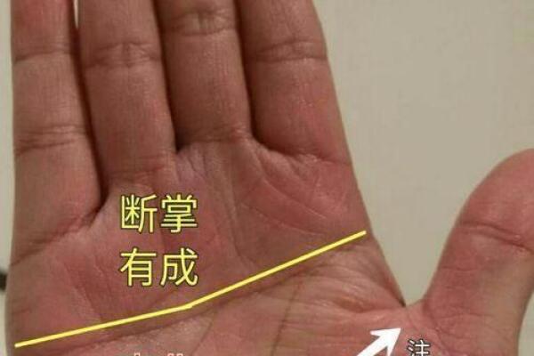 算命手势图含义