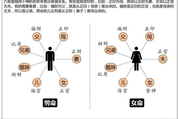 算命自学哪里更好学