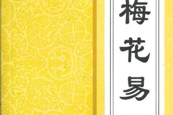 梅花易数算命入门书籍
