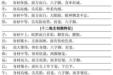 【八字起串宫详解】-从八字申命到十二宫位解析