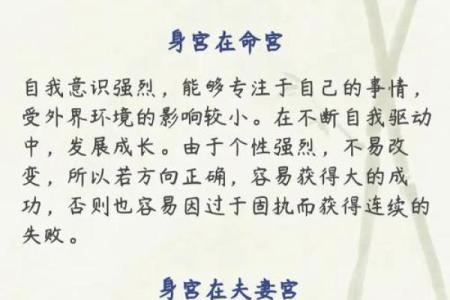 紫薇斗数从戍起子