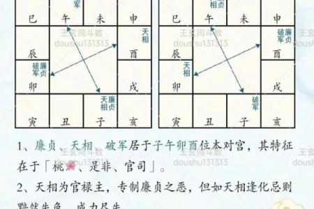 江南鬼谷子紫薇斗数