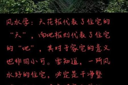 户外风水教学学习如何利用自然地理环境提升生活质量