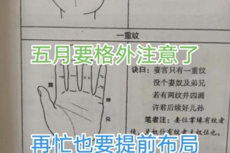 生肖猴出生日期，手把手教你如何选好吉日