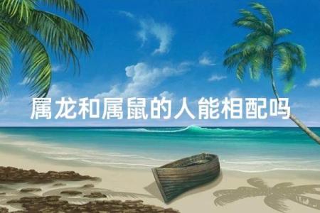 属龙和属鼠的八字合吗