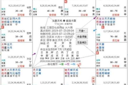 梅花占卜和紫薇斗数的区别