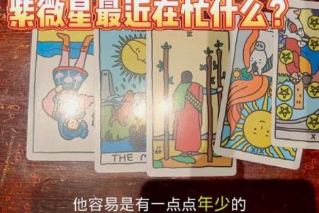 紫薇斗数比塔罗