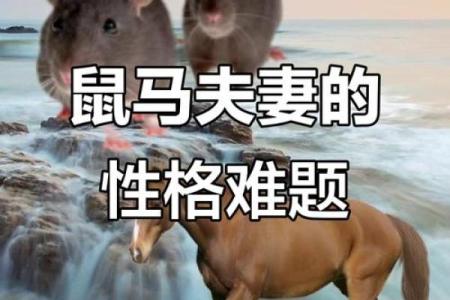 78马和72鼠结婚吉日 78年的马和72年的鼠结婚后如何？