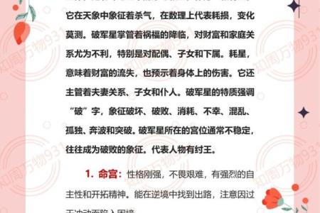 紫微斗数之事业宫与诸星，贪狼星在事业宫是什么意思？