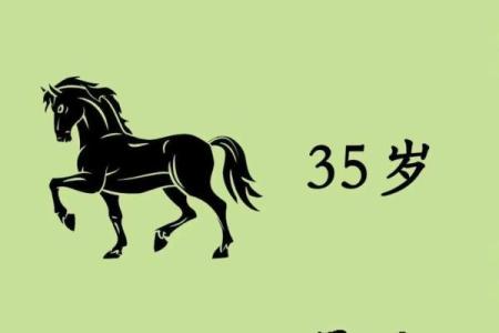 马年八月出生吉日，属马8月出生？