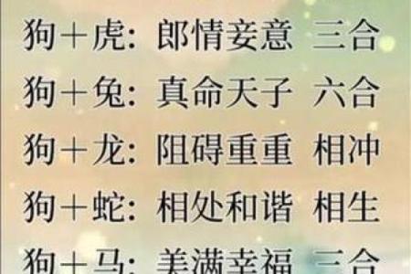 属狗的女人和什么属相最配对 属狗的女人和什么属相最配婚姻
