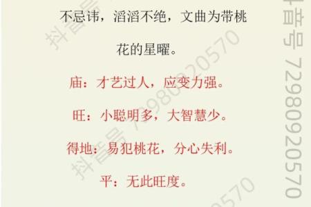 紫薇斗数武曲详解