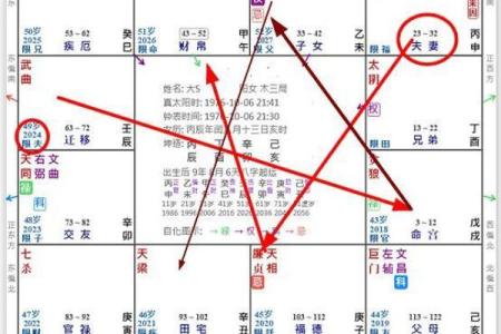 紫薇斗数正格