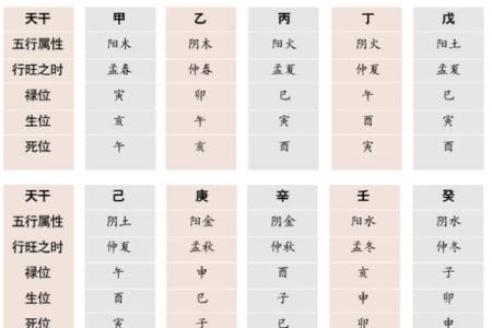 看命运八字