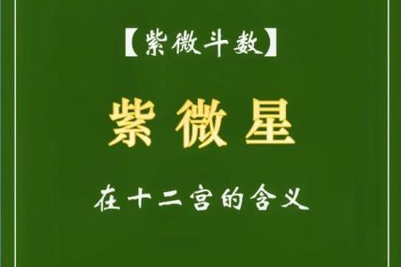 紫薇课堂第四十六节～戴师讲紫薇之破军星#易学智慧