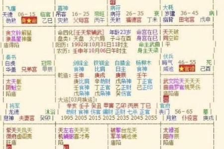 紫薇斗数官禄宫天府