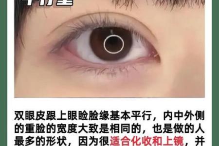 割双眼皮忌讳什么风水