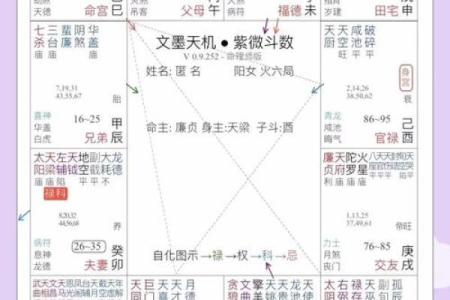 紫微斗数诸星落命宫之：天空、地劫详解